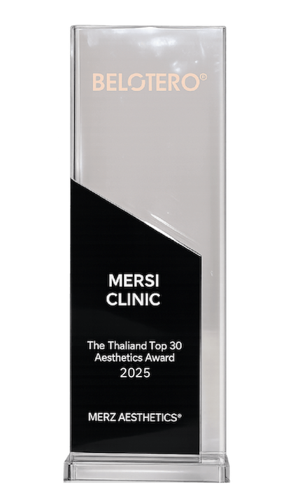 Merz 2025 แก้ไข
